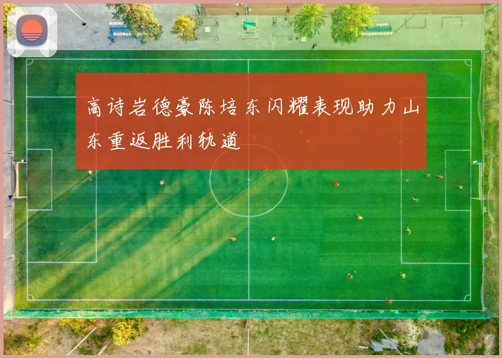 高诗岩德豪陈培东闪耀表现助力山东重返胜利轨道